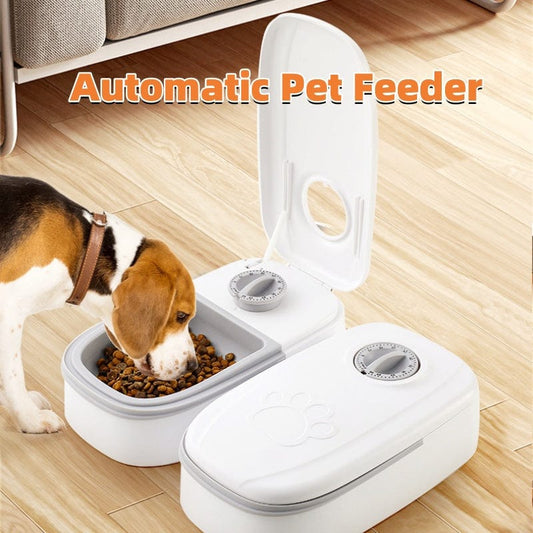 Automatic Timer Stainless Steel Bowl Auto Dog Cat Pet Feeding Pets Supplies